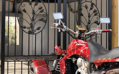 SCS ornamentika ja sepisrosettidega varavad III