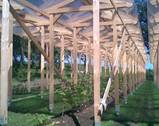 kasvuhoone-vundament